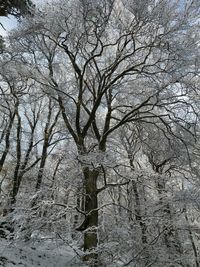 Winter in der Pfalz